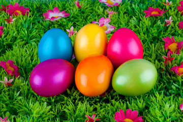 Fototapeta na wymiar malowane kolorowe jaja wielkanocne na łąki z kwiatami