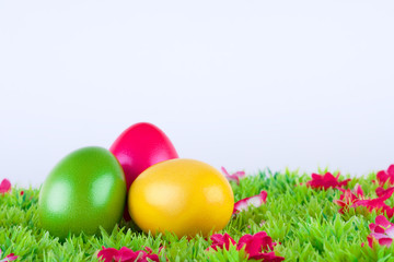 Fototapeta na wymiar bemalte bunte Eier für Ostern auf Wiese mit Blüten