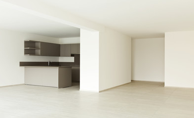 modern architecture, new empty apartment , kitchen