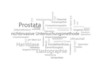 Prostata