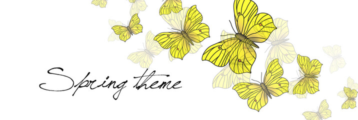 Spring vector illustration - butterflies