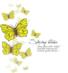 Spring butterflies - vector
