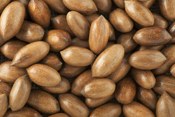 Pecan Background