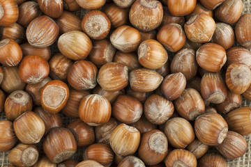 Hazelnut Background