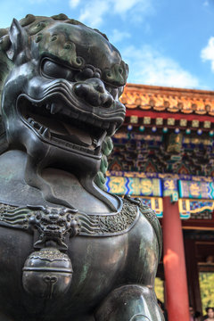 Bronze lion statue at the summer palace