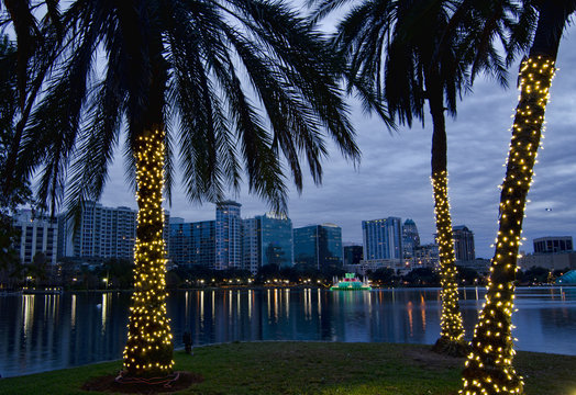 Orlando Skyline at Christmas