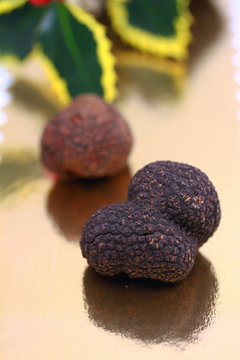 truffes de provence