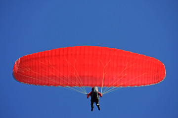 paraglider
