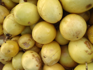Passion Fruit