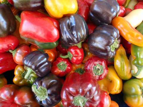 Color assortment of peppers