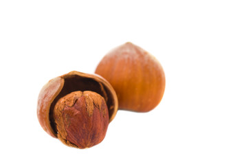 hazelnuts isolated