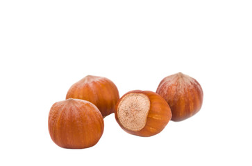 hazelnuts isolated