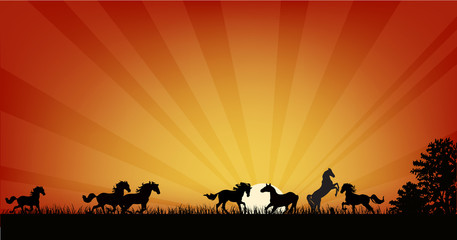 Obraz na płótnie Canvas Stado koni na pomarańczowym zachodzie słońca ilustracji