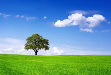 Fleecedeken met foto Clean environment © wajan