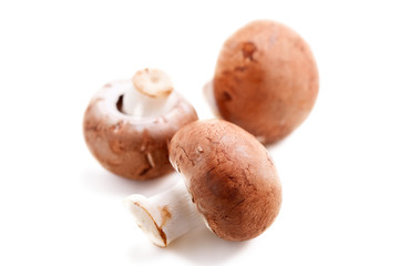 Mushrooms: Champignon