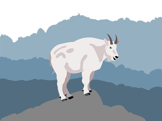 Mountain goat