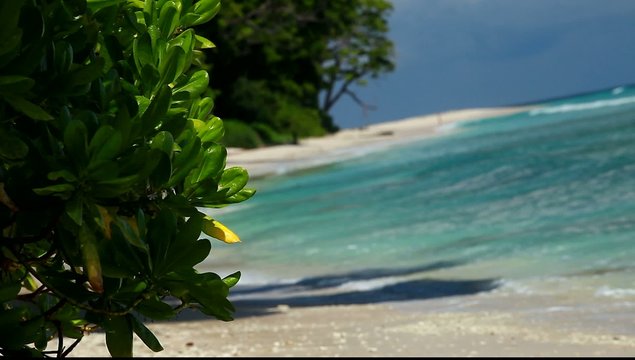 Havelock Island blue sky, Andaman Islands, India