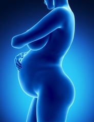 Pregnan woman lateral view