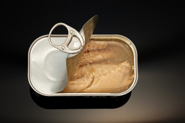 Fischkonserve