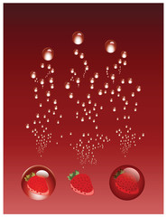 Strawberry Fruit Juice