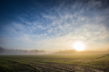 Foggy Winter Morning