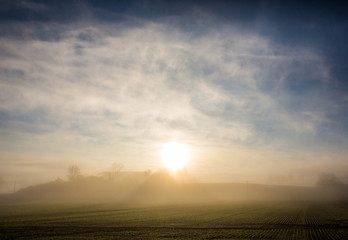 Obraz premium Foggy Winter Morning