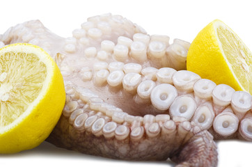 Fresh octopus raw close up on the white © Orlando Bellini