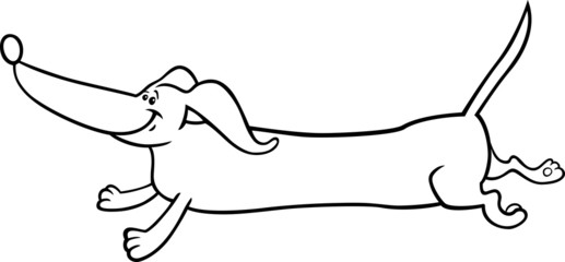 running dachshund cartoon for coloring