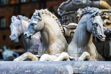 Crédence de douche en verre acrylique avec photo Fontaine Horses of Neptune fountain in Florence
