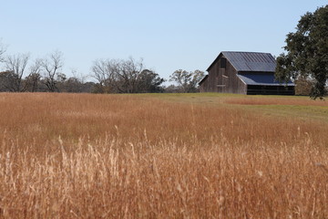 Obraz premium Autumn Barn