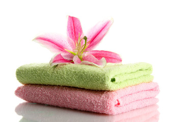 Obraz na płótnie Canvas ręczniki z pięknej różowej lilii, odizolowane na białym