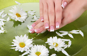 Woman hands with french manicure and flowers in green bowl with