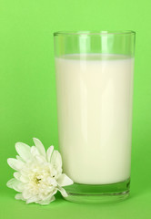 Glass of fresh new milk with white flower on green  background