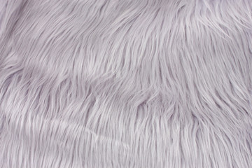 Gray fur texture, close-up.Useful as background