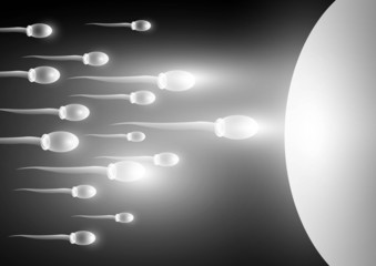 Sperm and ovaries background