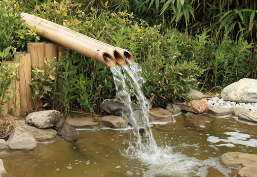 petite source et fontaine de bambous en jardin aquatique
