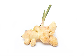 Ginger's root isolated on white background.