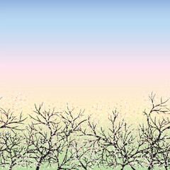 Obraz na płótnie Canvas Blooming trees and blue sky