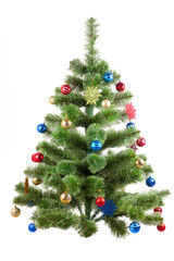 Photo  of Christmas tree