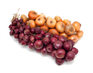 yellow and red onion