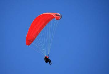 paraglider