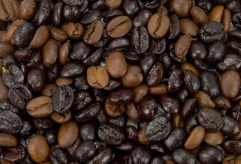 Kaffeebohnen