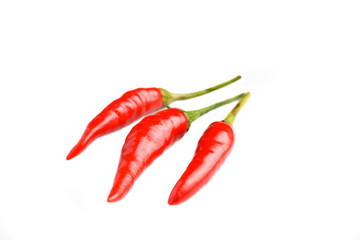 peperoncino vietnamita - vietnam red hot chili pepper