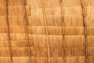 Rural house roof made of cogon grass