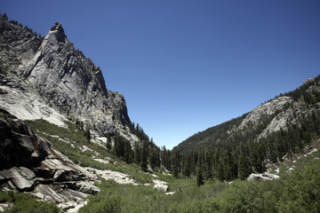 Sequoia National Park, California