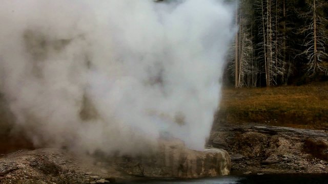 eruption of Riverside Geyser,Yellowstone NP