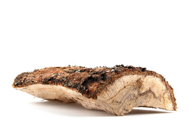 The logs of fire wood isolated on white