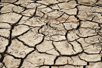 cracked clay