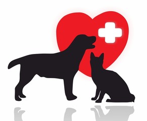 animals - first aid