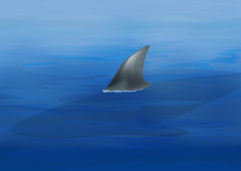 Naklejka premium Aileron de requin